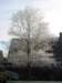 hoarfrostbourton7dec10012_small.jpg