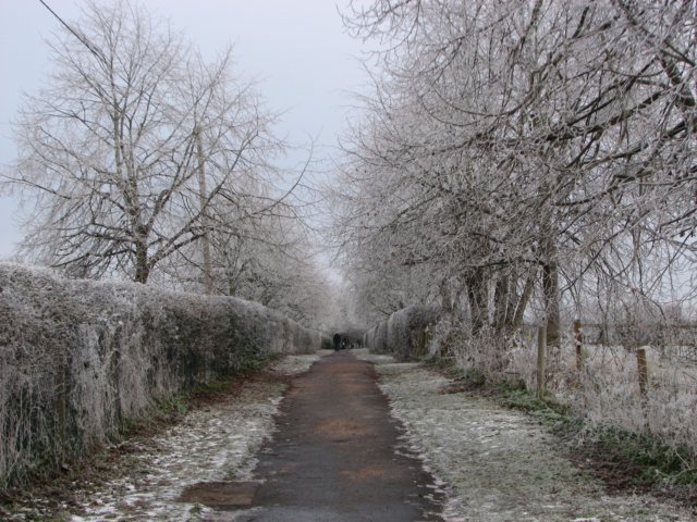 hoarfrostbourton7dec10053.jpg