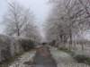 hoarfrostbourton7dec10053_small.jpg