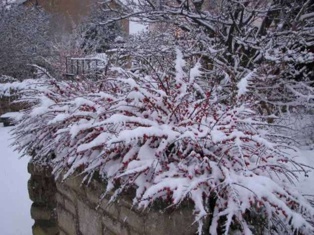 snowbourton18dec10013.jpg