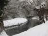 snowbourton20dec10001_small.jpg