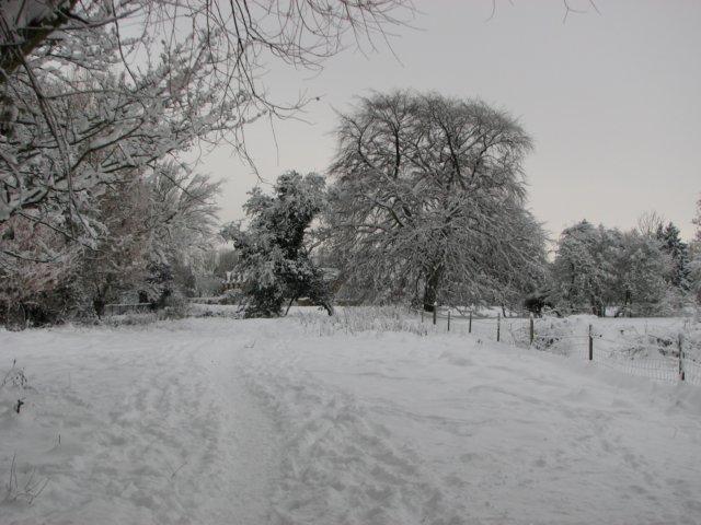 snowbourton20dec10012.jpg