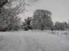 snowbourton20dec10012_small.jpg