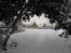 snowbourton20dec10016_small.jpg