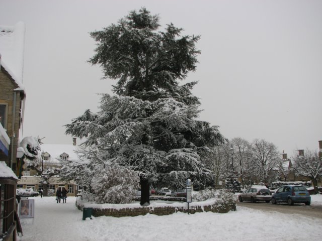 snowbourton20dec10030.jpg