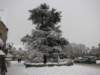 snowbourton20dec10030_small.jpg