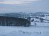 snowcotswolds19dec10029_small.jpg