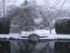 snowingbourton18dec10011_small.jpg