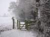 snowingbourton18dec10046_small.jpg
